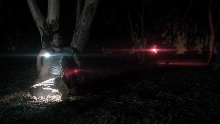 A Light In The Woods